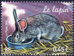  Nature de France : Animaux de la ferme, Le lapin 