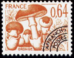  Champignons préoblitéré <br>Oronge