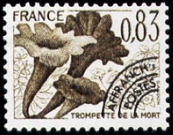  Champignons préoblitéré <br>Trompette de la mort