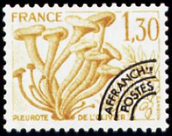  Champignons préoblitéré <br>Pleurote de l'olivier