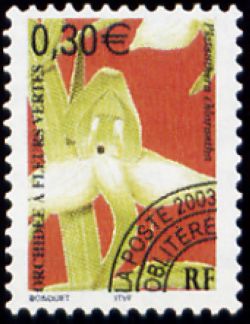  Fleurs orchidés préoblitéré <br>Fleurs vertes