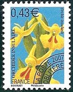 Orchidée