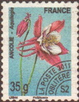  Fleur <br>Ancolie