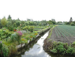 La France à vivre - Les hortillonnages